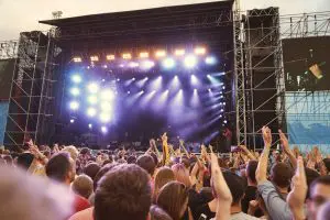 Concert Security Services