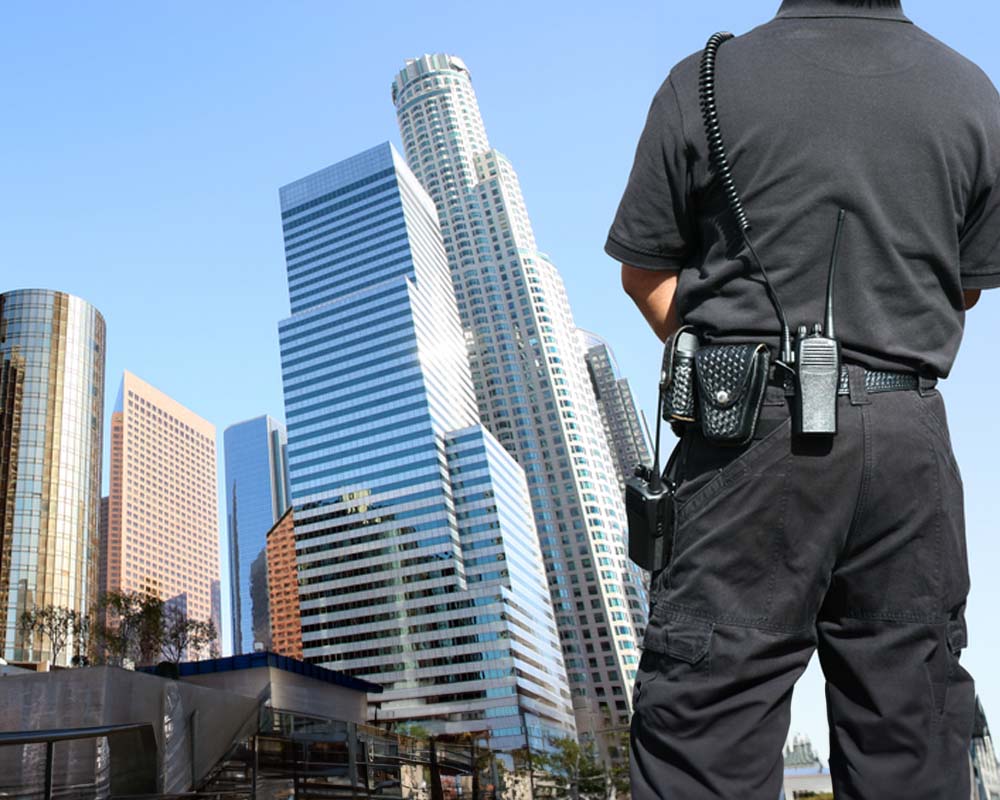 security services across california