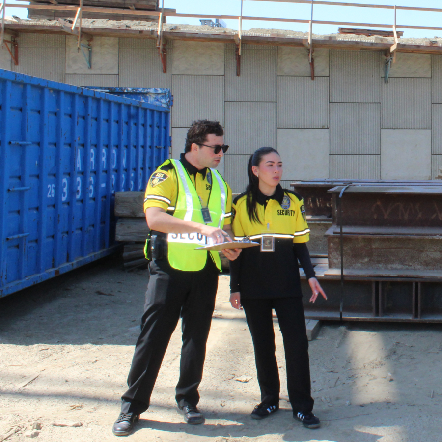 security guards inspecting