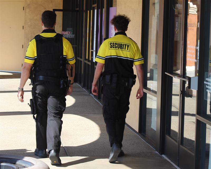 what do firewatch guards do