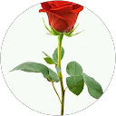 Yassine Adam profile picture