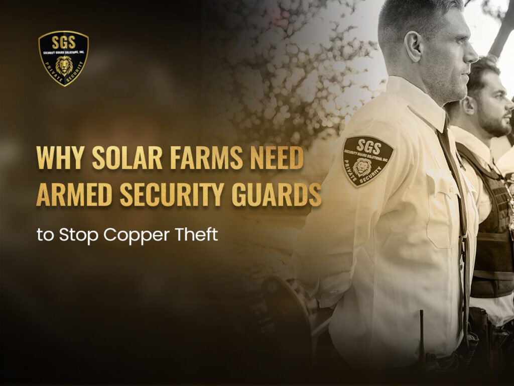 Why-Solar-Farms-Need-Armed-Security-Guards-to-Stop-Copper-Theft